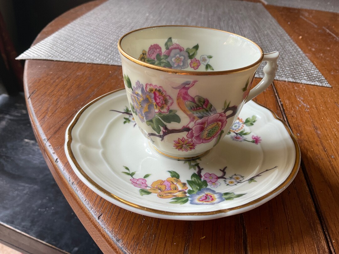 Bernardaud Limoges France Bengali Teacup and Saucer Etsy