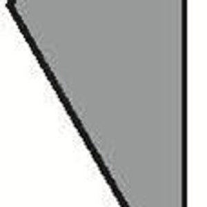 May include: A gray triangle with a black outline.