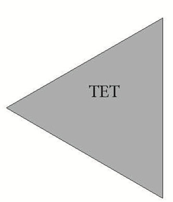 4 ½ inch Equilateral Triangle Template in Acrylic 4 ½ inch Equilateral Triangle Template in Acrylic