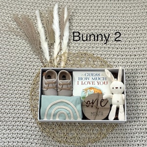 Baby Shower gift, baby bear gift basket, Gender Neutral Baby Gift set, Curated Baby Gift, baby gift box, baby gift newborn gift rainbow baby