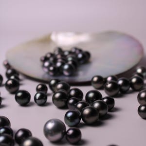 Tahitian Semi Baroque Pearls, 8-10.9mm, Imported from our own Tahitian Pearl Farm - Drilling Available