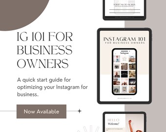 Instagram 101 Guidebook for Business Owners (Digital Download)