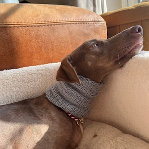 Whippet Snood In Grey