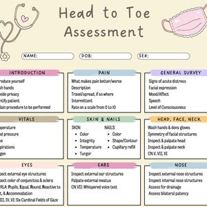 Head to Toe Nursing Assessment PDF | Clinical Cheat Sheet for Nursing Students | Cranial Nerves + APETM | Printable Study Guide