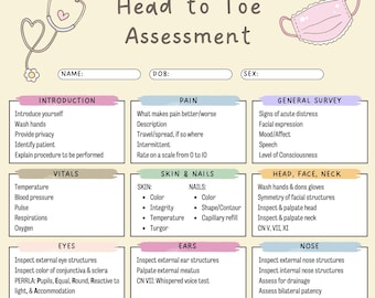 Head to Toe Nursing Assessment PDF | Clinical Cheat Sheet for Nursing Students | Cranial Nerves + APETM | Printable Study Guide