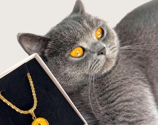 Collana In Occhio Di Tigre A Rondelle E Argento 925 Dorato - Collane