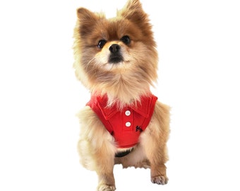 Pawsitively Stylish: Cotton Pique Polo Shirt for Fashionable Pets!