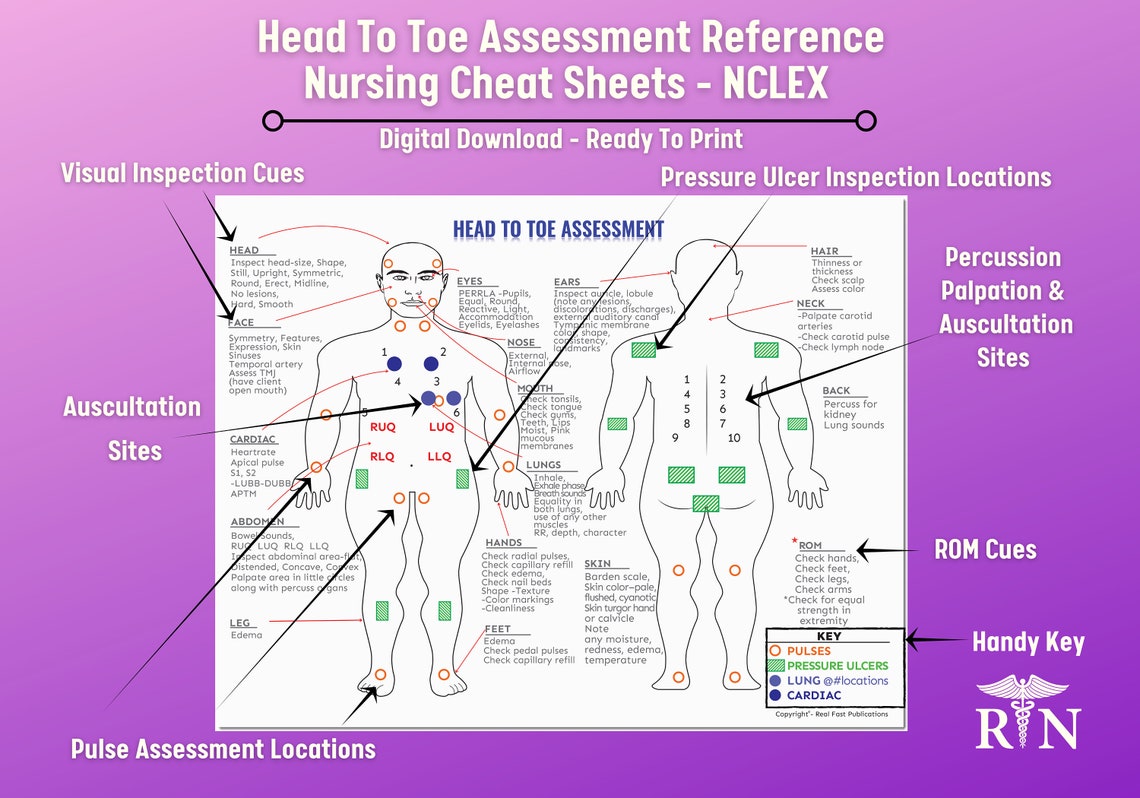Head to Toe Assessment Nursing Study Guide Cheatsheet - Digital ...