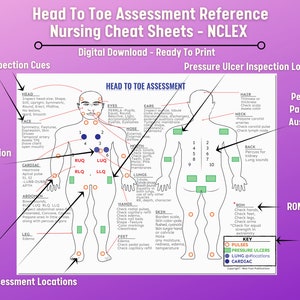 Head to Toe Assessment Nursing Study Guide Cheatsheet - Digital ...