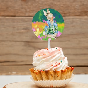 May include: A cupcake with pink and white frosting and colorful sprinkles topped with a round cake topper featuring a cartoon rabbit holding a carrot and a bird.