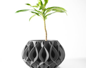 Viris Modern Planter Eco-Friendly Set: 3”- 6" Indoor Pots with Tray for Succulents, Cacti, and Monstera Plants