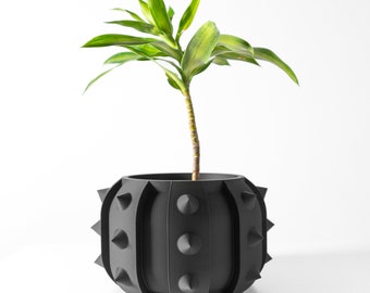 Alver Modern Planter Eco-Friendly Set: 3”- 6" Indoor Pots with Tray for Succulents, Cacti, and Monstera Plants