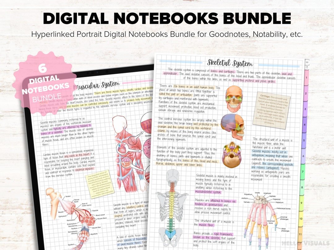 Digital Hyperlinked Notebook Minimal Notebook Cornell Note Taking ...