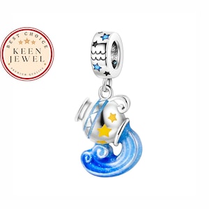 Amuleto del zodiaco Acuario para pulsera, amuleto colorido de Acuario, amuleto del zodiaco de diseño colorido para pulsera, regalo de cumpleaños para ella