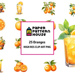 Watercolor Oranges Clipart Bundle, Boho Watercolor Clipart, Fruit Clipart, Rustic Oranges Clipart, Commercial Use