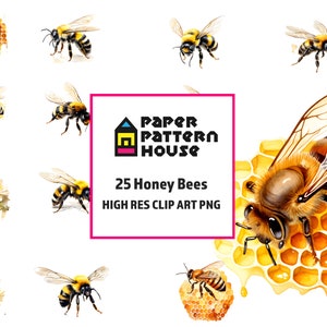 Pacchetto di clipart di api per designer, clipart di api ad alta risoluzione ad acquerello, uso commerciale