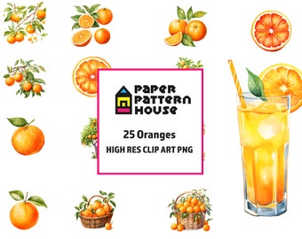 Watercolor Orange Clipart, Citrus Fruit Design Bundle (Commercial Use)