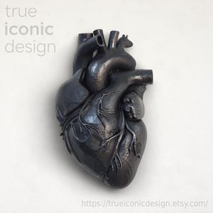 Dark Graphite Anatomical Heart Wall Art, Mystery and Depth Sculpture, 3D Anatomical Art, Dramatic Wall Decor, Dark Heart