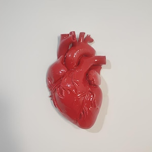 Red Anatomical Heart Wall Art, Passion and Love Sculpture, 3D Anatomical Art, Intense Wall Decor, Beating Heart