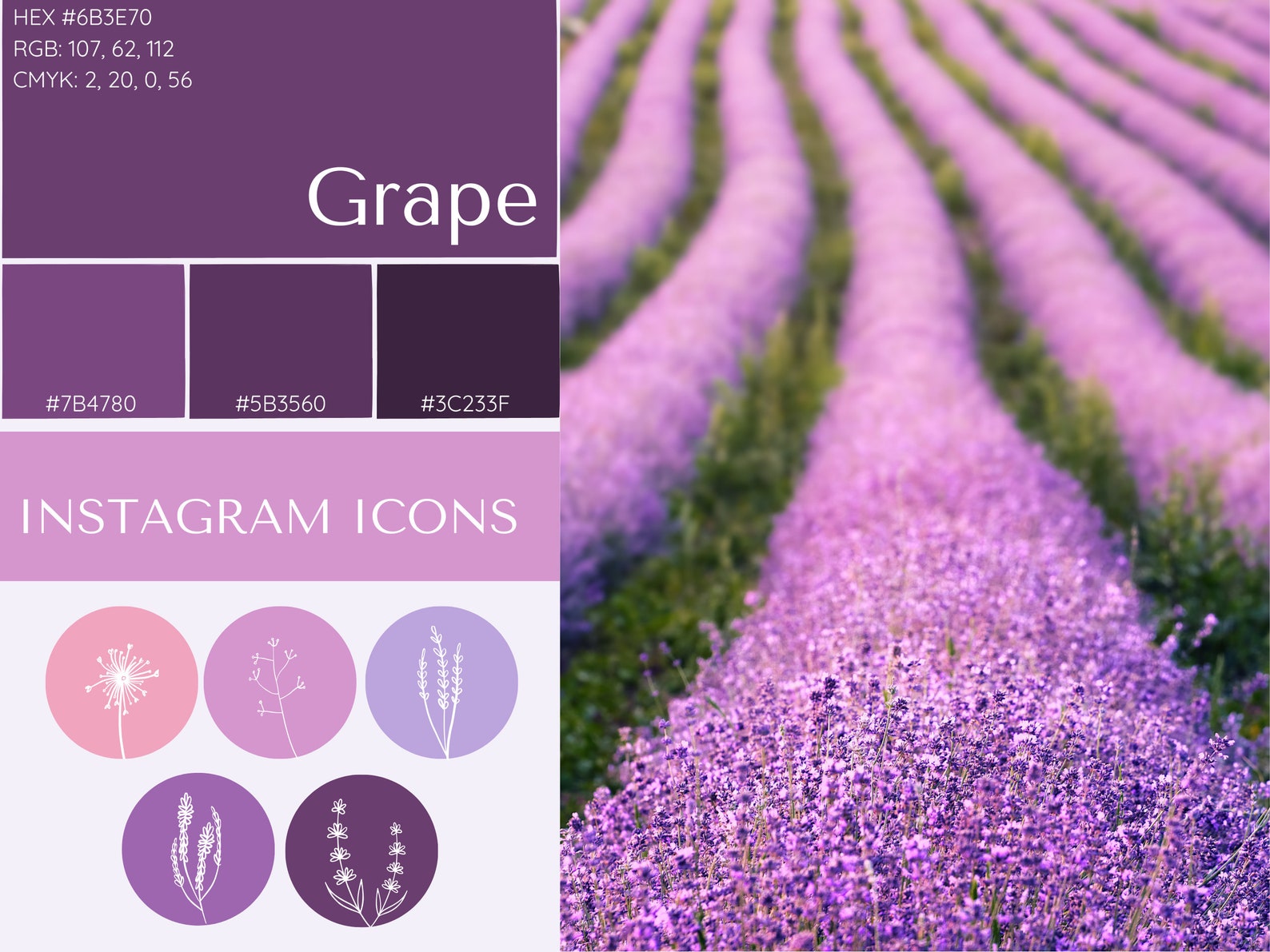 Brand Colour Palette Template Lavender Field Editable Canva Template