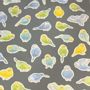 May include: A selection of budgie stickers in different poses and colours. The stickers feature yellow, green, and blue birds with white detailing. The stickers are on a grey background. The birds are in various positions, some facing forward, others in flight.