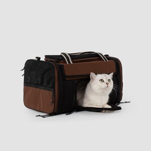 May include: A rectangular pet carrier in black and brown with a zippered opening. A white cat with grey markings is positioned inside the carrier, looking toward the right. The carrier features black mesh side panels and black carrying straps.