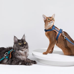 High Quality (Escape Proof) Leather Cat Harness/Leash Set for Cats & Kittens Explore Cat Harnesses Leather Cat Collar