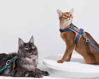 Hoge kwaliteit (ontsnappingsbestendig) leren kattentuig/lijnset voor katten en kittens Ontdek kattentuigjes Leren kattenhalsband