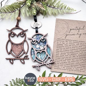 Lehrer Eule Ornament Story Karte Lehrer Geschenk, Lehrer Wertschätzung, Sentimental Karte für Cricut + Glowforge Projekte DIGITAL DOWNLOAD