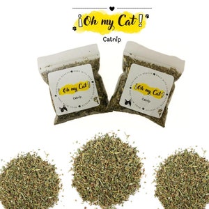 Organic Catnip Leaf and flower (Nepeta Cataria)