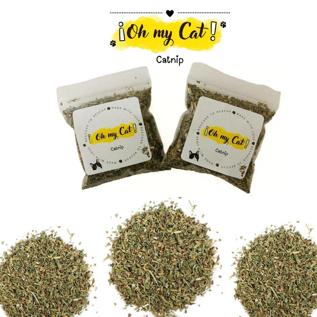 Organic Catnip Leaf and Flower (nepeta Cataria) - Etsy