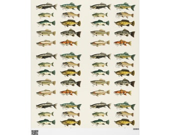 Vintage Fly Fishing Lures Wrapping Paper: Angler Gift Wrap