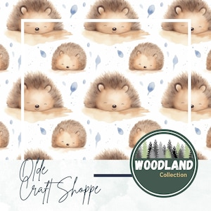 File di modello senza soluzione di continuità, acquerello carino cucciolo di porcospino, riccio che dorme, fa un pisolino, animale del bosco, carta digitale, tessuto tessile, PNG