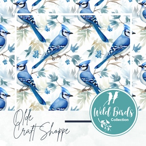 Fichier de motif aquarelle feuilles de geai bleu, impression d'animaux sauvages, carreaux répétitifs d'oiseaux sauvages, papier numérique pour animaux de la forêt, cadeaux en prime