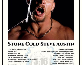 Stone Cold Steve Austin "Icons" Series Framed Poster