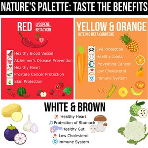 Unlock the Rainbow: Colorful Nutrition Chart | Health and Wellness Guide for Kids amd Adults