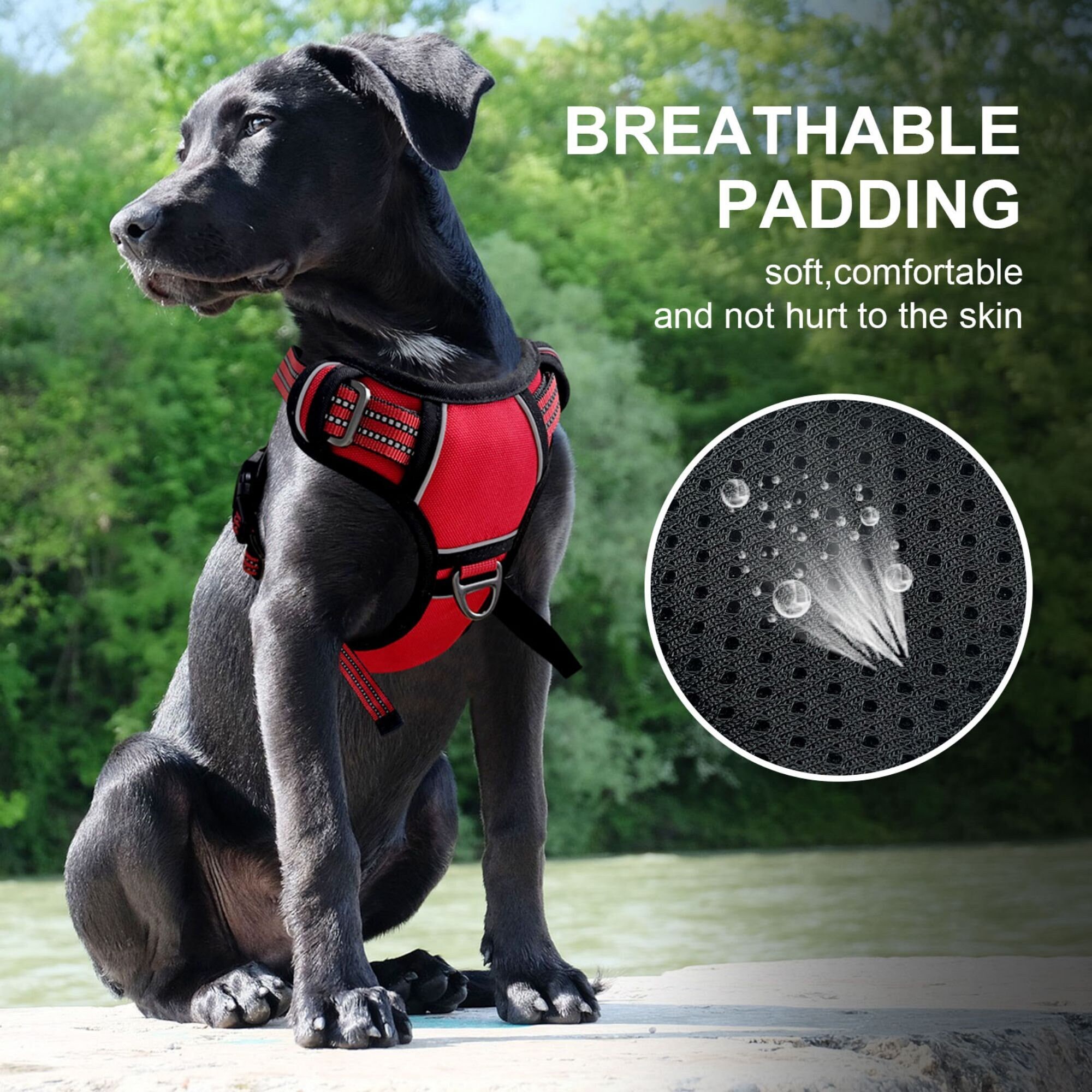 Dog Harness No-pull Pet Harness Adjustable Soft Padded Dog - Etsy
