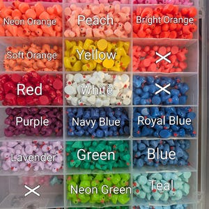 May include: A clear plastic organizer filled with miniature rubber duckies in various colors. The colors include hot pink, pink, neon orange, peach, bright orange, soft orange, yellow, red, white, purple, navy blue, royal blue, lavender, green, blue, neon green, teal, dark green, and light blue. The text "Ducky Color Options" is at the top.