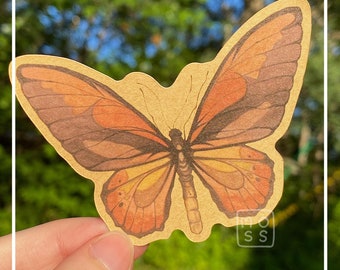 Orange Butterfly sticker, Watercolors