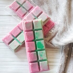 Floral melts for warmer, scented wax melts, soy wax melts, food wax melts, natural wax melts, snap bars wax melts, Baja cactus melts