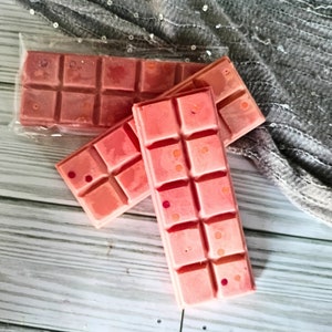 Tropical wax melts, wax melts handmade, scented wax melts, snap bars, home fragrance, food wax melts, dessert wax melts