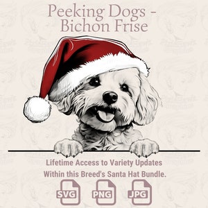 Spähende Hunde Bichon Frise Weihnachtsmütze - | SVG | PNG | JPG | Viele Variationen - Planer, Einladungen, Sticker, Print on Demand