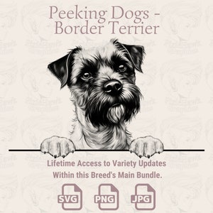 Spähende Hunde Border Terrier - | SVG | PNG | JPG |  Transparent + Weißer Hintergrund - Planer, Einladungen, Aufkleber, Print on Demand