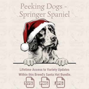 Peeking Dogs Springer Spaniel Santa Hat - / SVG / PNG / JPG / Muchas variaciones - Planificador, Invitaciones, Pegatinas, Impresión bajo demanda