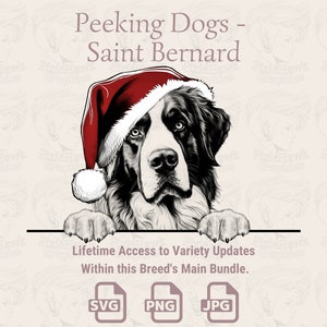 Espreitando o chapéu de St Bernard Santa dos cães - | SVG | PNG | JPG | Muitas variações – Planner, convites, adesivos, impressão sob demanda