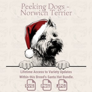 Espreitando cães Norwich Terrier Santa Hat - | SVG | PNG | JPG | Muitas variações – Planner, convites, adesivos, impressão sob demanda
