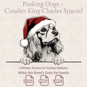 Spähende Hunde Cavalier King Charles Spaniel Weihnachtsmütze - | SVG | PNG | JPG | Viele Variationen - Planer, Sticker, Print on Demand