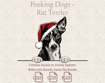 Rat Terrier Santa Hat Peeking Dog - SVG PNG JPG (Digital Download)