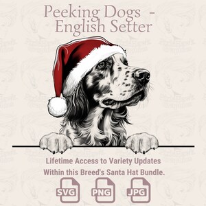 Peeking Dogs Setter inglese Cappello da Babbo Natale - / SVG / PNG / JPG / Molte varianti - Pianificatore, Adesivi, Stampa su richiesta