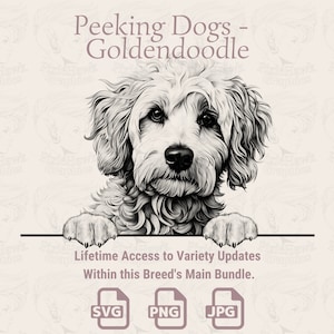 Guckende Hunde Goldendoodle - | SVG | PNG | JPG | Transparent + Weißer Hintergrund - Planer, Einladungen, Aufkleber, Print on Demand